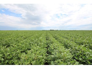 Tract 2 - Reno County, KS farmland - LAND AUCTION - 647+/- ACRES OFFERED IN 4 TRACTS IN RENO & EDWARDS COUNTY, KANSAS